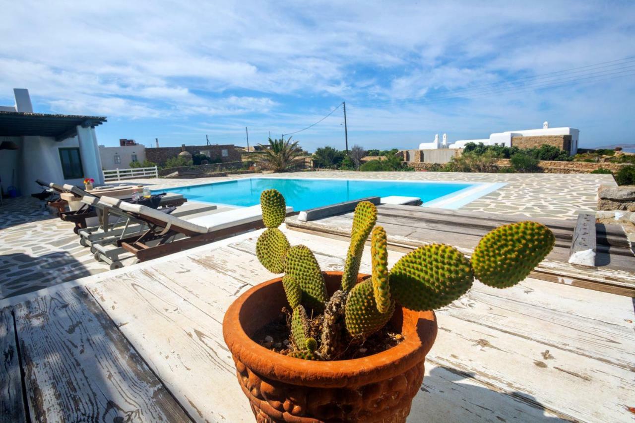 Villa Christina Mykonos Island Exteriér fotografie